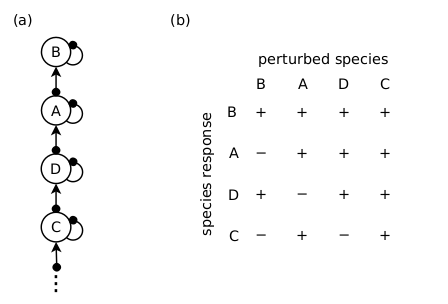 A food chain structure (a) has a likelihood of 1 of producing the past observed responses (see text). It predicts the species responses in (b) with probability 1.
