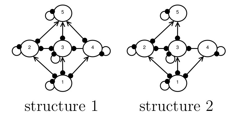 Network structural uncertainty in Qualitative Modelling