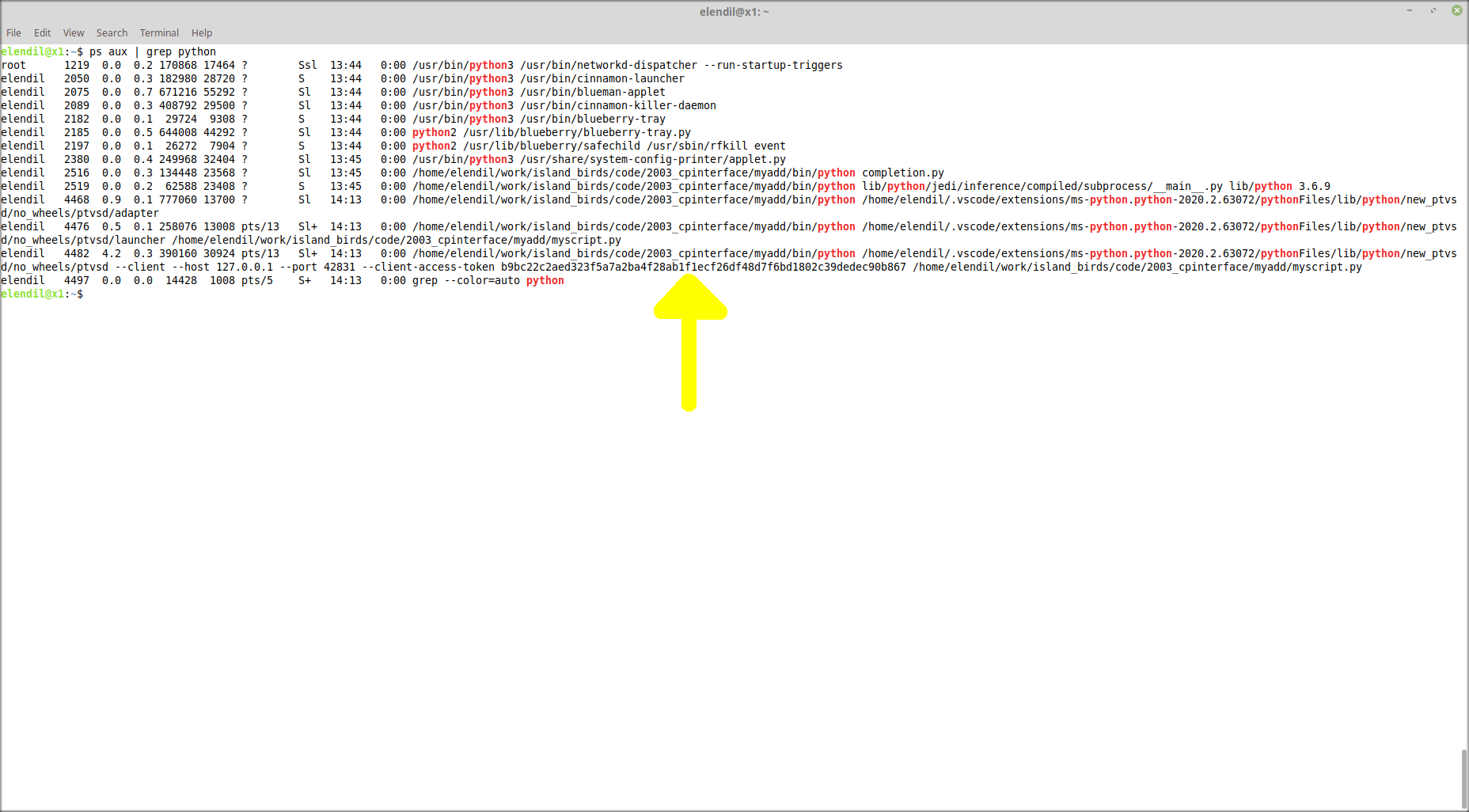 Debug codes. ENDSWITH Python. Как очистить терминал в vs code. Ошибки в Python c++ c свинья.