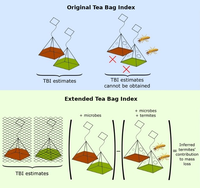 Extended Tea Bag Index to measure microbial- and termite-driven decomposition in the tropics