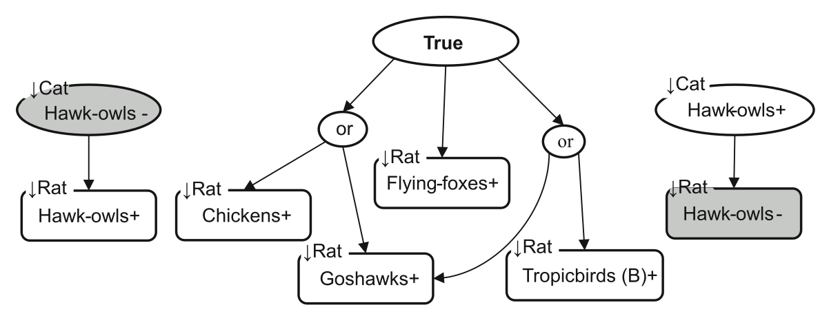 Figure 4: A summary of predicted species responses to both cat and rat control. The model is premised on cat control having a positive effect on rats, so logical implications should be interpreted contingent on that constraint. For example, the central edge from True reads: 'If cat control has a positive effect on rats, then rat control has a positive impact on flying foxes'.