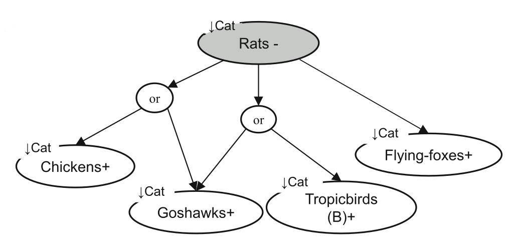 Figure 3: The Boolean approach. A summary of predicted species responses to cat control, where nodes and edges are to be read as logical implications. For example, 'If cat control has a negative effect on rats, then cat control will have a positive effect on tropicbirds or a positive effect on goshawks (or both)'.