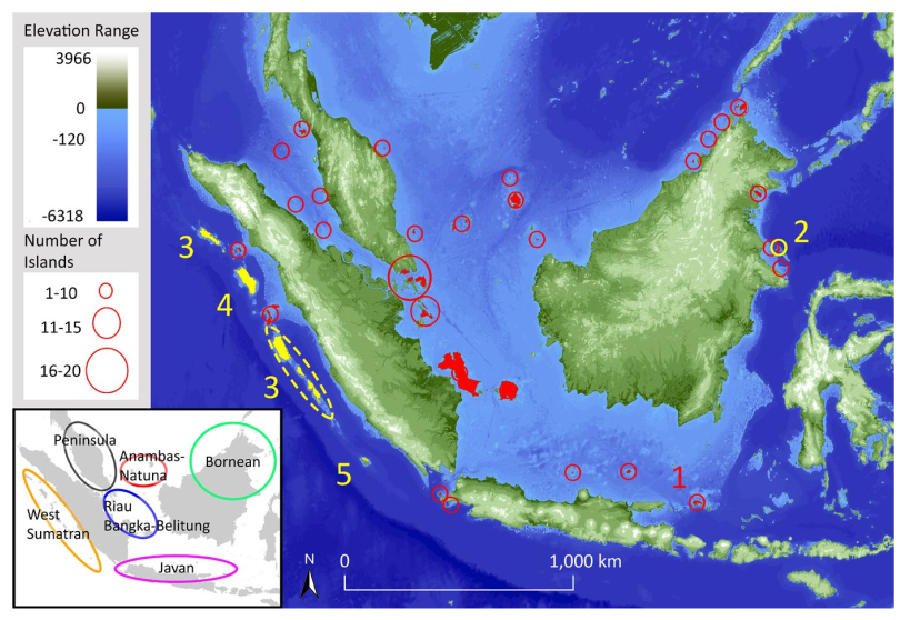 Island bird diversity not influenced by historical connection to the mainland