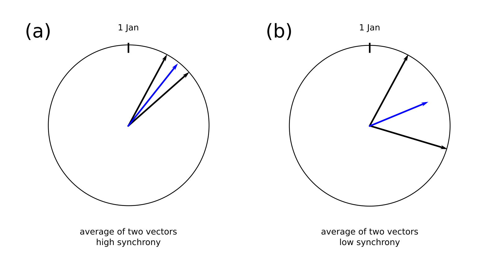 An example calculating the synchrony between two dates for (a) highly synchronous (b) less synchronous dates. The length of the average vector (blue) is the circular variable \( \rho \).
    The more synchronous the dates are, the longer the average vector is.