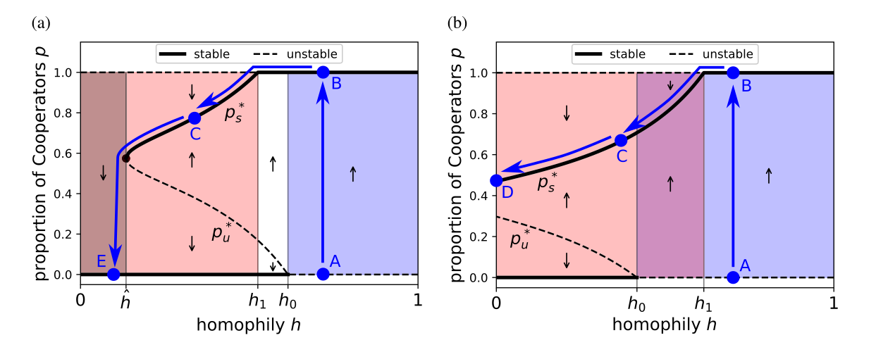 Figure 4. Two examples of how genetic homophily affects the evolutionary dynamics in our model, showing possible trajectories of cooperation as human homophily decreased over time due to changing social environments (blue lines).  The evolutionary dynamics separates into qualitatively different regimes depending on the homophily level \(h\): Cooperators cannot persist (dark shading), Defectors can both invade and persist (red shading), and Cooperators can invade (blue shading).  In the ancestral past, homophily was high (point A), which allowed Cooperators to invade (B).  As homophily decreased (decreasing \(h\)), Cooperation persisted even into the region where it could not invade (C).  Depending on the parameter values, Cooperation can either persist even if homophily disappears entirely (D), or Cooperation will be lost below a certain level of homophily (E).