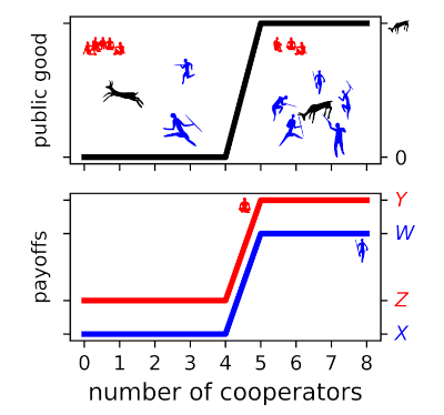 Figure 2. A hypothetical threshold public goods game involving a prehistoric hunt.  A minimum number of hunters (5) must cooperate to successfully surround and kill an animal or their efforts are wasted.  A cooperator's payoff is \(W\) if the threshold is met and \(X\) if it is not (blue line).  All members share the meat (\(n = 8\)); therefore, the highest payoff goes to defectors (red line) regardless of whether the hunt is successful (payoff \(Y\)) or not (payoff \(Z\)).  However, if an individual is likely to be the pivotal hunter, i.e., the hunter that brings the group above the threshold for a successful hunt, then they are incentivised to cooperate.  The incentive is that the payoff to a defector when the threshold is not met is less than the payoff to a cooperator when the threshold is met (\(Z < W\)).